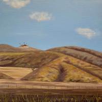 Hwy 46 McMansion, acrylic on canvas, 20" x  20"